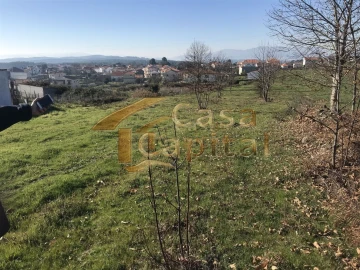 Terreno para Venda em São Martinho de Antas e Paradela de Guiães