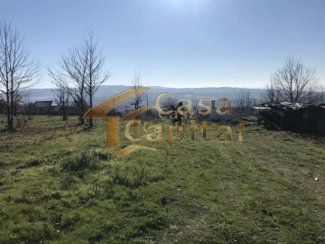Terreno para Venda em São Martinho de Antas e Paradela de Guiães