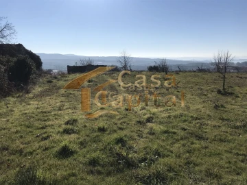 Terreno para Venda em São Martinho de Antas e Paradela de Guiães