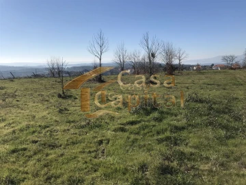 Terreno para Venda em São Martinho de Antas e Paradela de Guiães