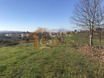 Terreno para Venda em São Martinho de Antas e Paradela de Guiães