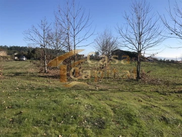 Terreno para Venda em São Martinho de Antas e Paradela de Guiães