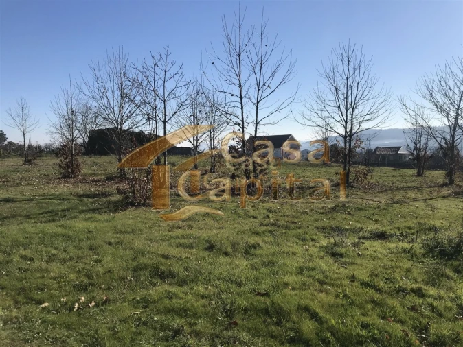 Terreno para Venda em São Martinho de Antas e Paradela de Guiães Foto 6