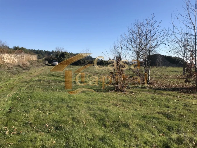 Terreno para Venda em São Martinho de Antas e Paradela de Guiães Foto 4
