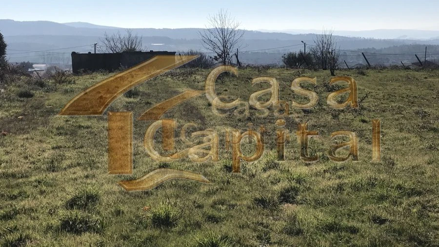 Terreno para Venda em São Martinho de Antas e Paradela de Guiães