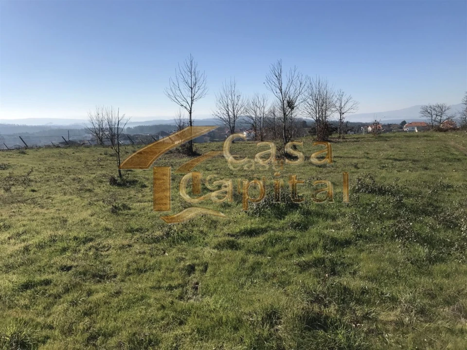 Terreno para Venda em São Martinho de Antas e Paradela de Guiães Foto 3