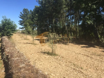 Terreno para Venda em Paços
