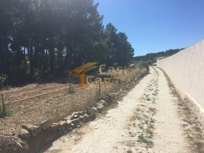 Terreno para Venda em Paços Foto 5