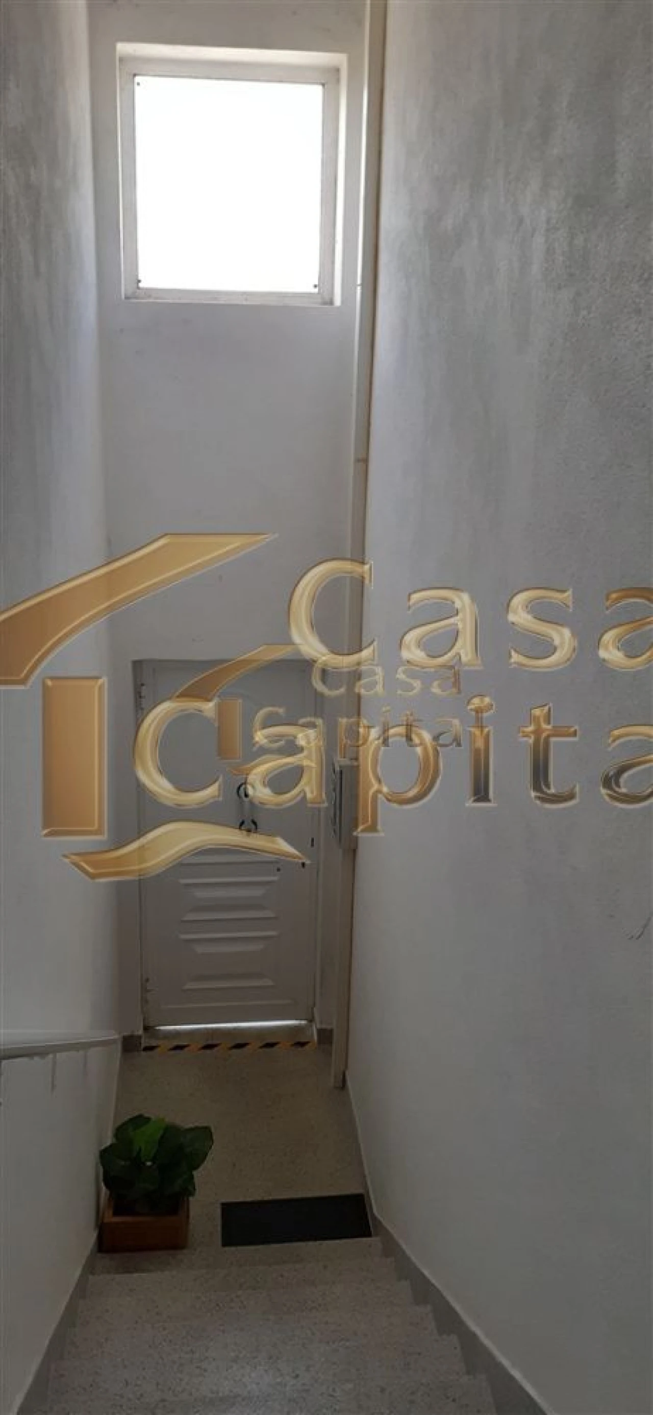 Loja para Arrendamento em Constantim e Vale de Nogueiras Foto 11