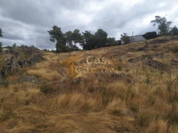 Terreno para Venda em Adoufe e Vilarinho de Samardã