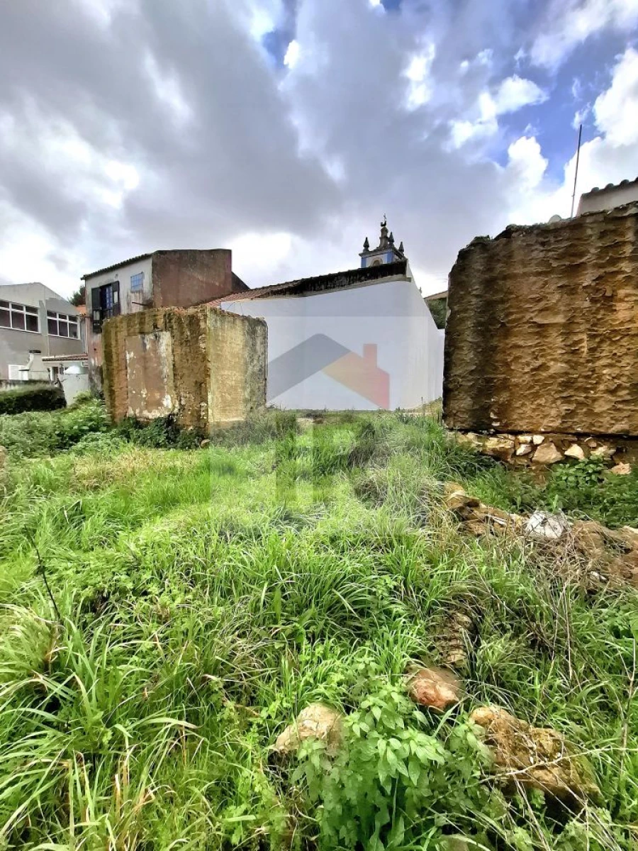 Terreno para Venda em Nossa Senhora do Pópulo, Coto e São Gregório Foto 12