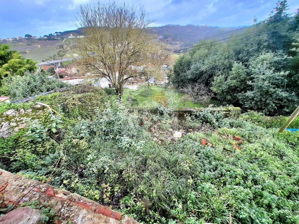 Terreno para Venda em Nossa Senhora do Pópulo, Coto e São Gregório Foto 17