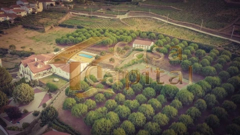 Quinta T10 para Venda em Ervedosa do Douro