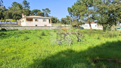 Terreno para Venda em Salir de Matos