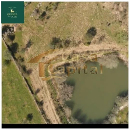 Quinta T0 para Venda em Touça