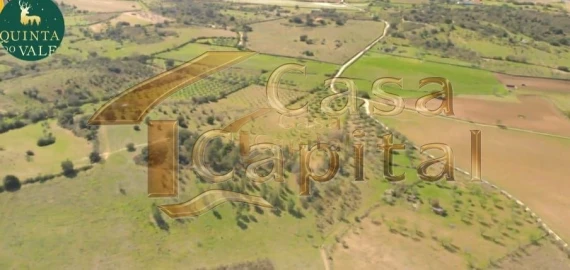 Quinta T0 para Venda em Touça