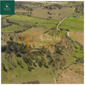 Quinta T0 para Venda em Touça