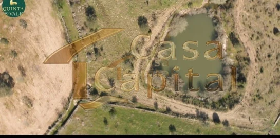 Quinta T0 para Venda em Touça