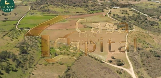 Quinta T0 para Venda em Touça