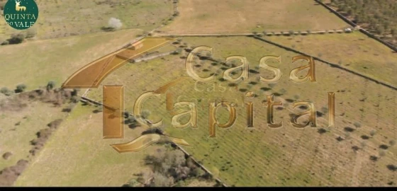Quinta T0 para Venda em Touça