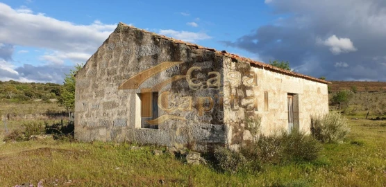 Quinta T0 para Venda em Touça