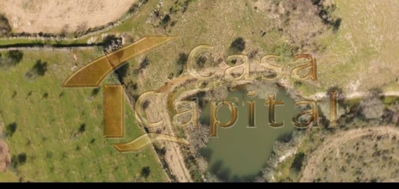 Quinta T0 para Venda em Touça