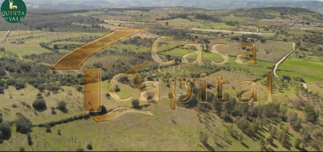 Quinta T0 para Venda em Touça Foto 10