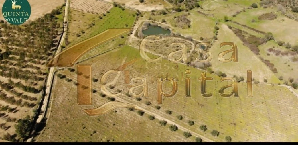 Quinta T0 para Venda em Touça Foto 13