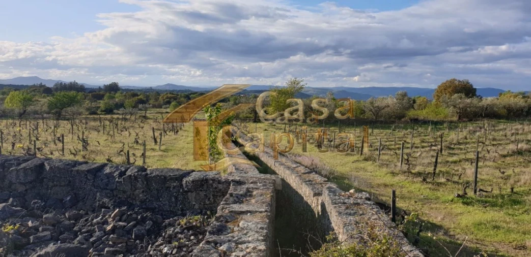 Quinta T0 para Venda em Touça Foto 18