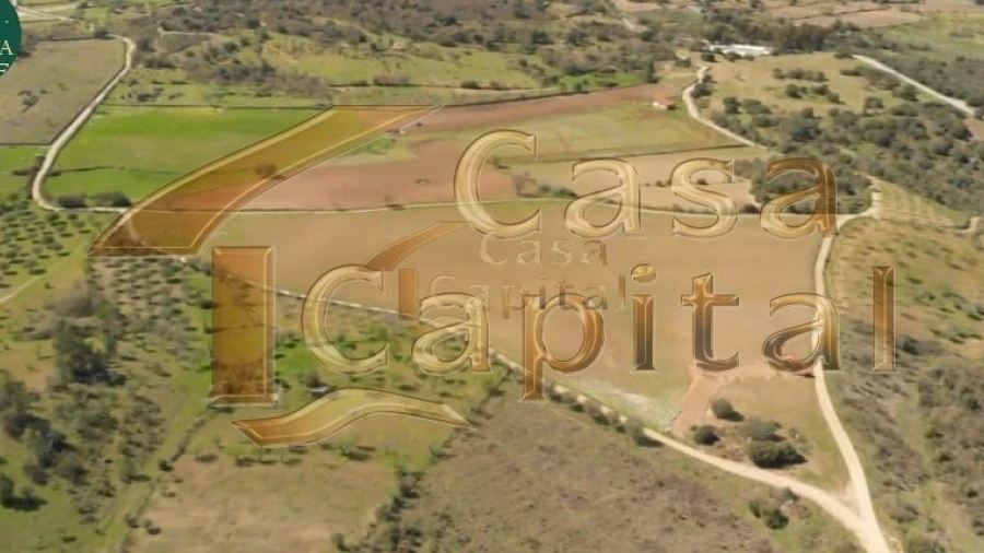 Quinta T0 para Venda em Touça