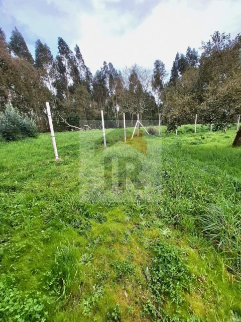 Moradia T6 para Venda em Salir de Matos