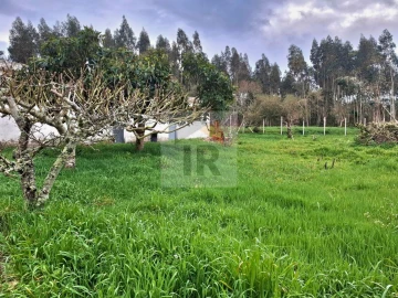 Moradia T6 para Venda em Salir de Matos