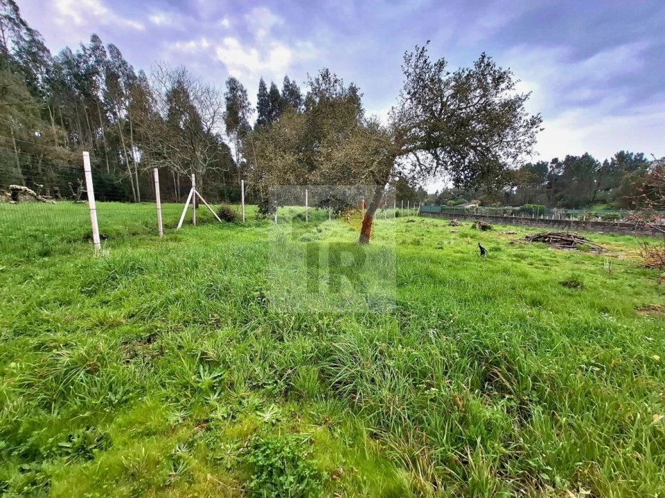 Moradia T6 para Venda em Salir de Matos Foto 41