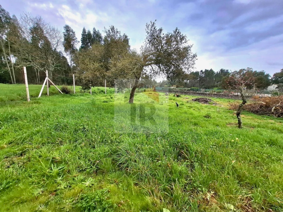 Moradia T6 para Venda em Salir de Matos Foto 42