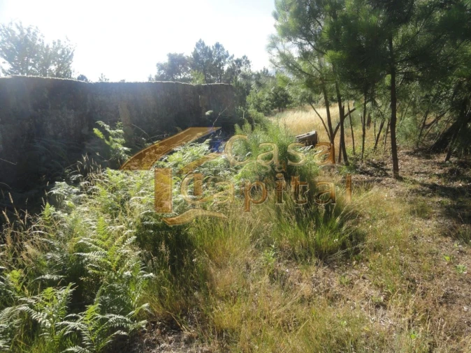 Terreno para Venda em Mouçós e Lamares Foto 6