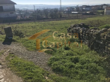 Terreno para Venda em São Martinho de Antas e Paradela de Guiães
