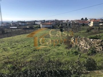 Terreno para Venda em São Martinho de Antas e Paradela de Guiães