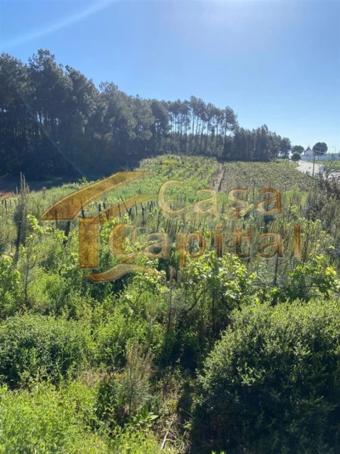 Terreno para Venda em Paços