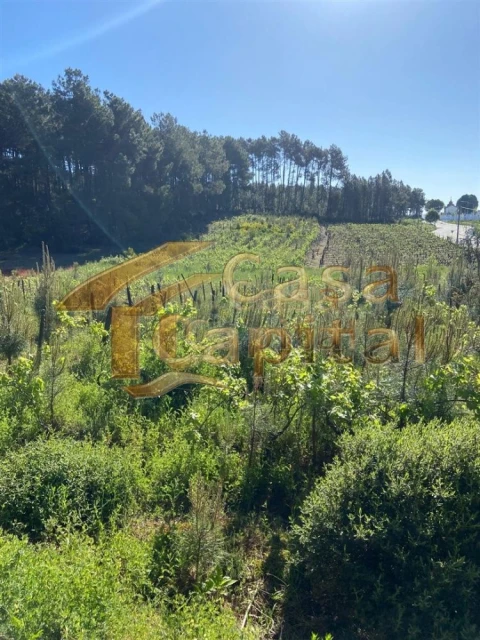 Terreno para Venda em Paços