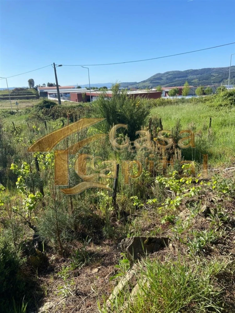 Terreno para Venda em Paços Foto 2