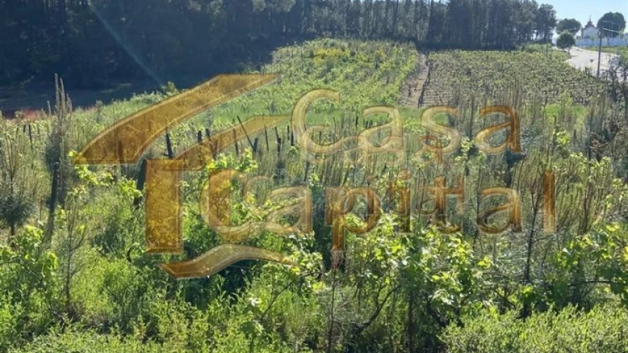 Terreno para Venda em Paços