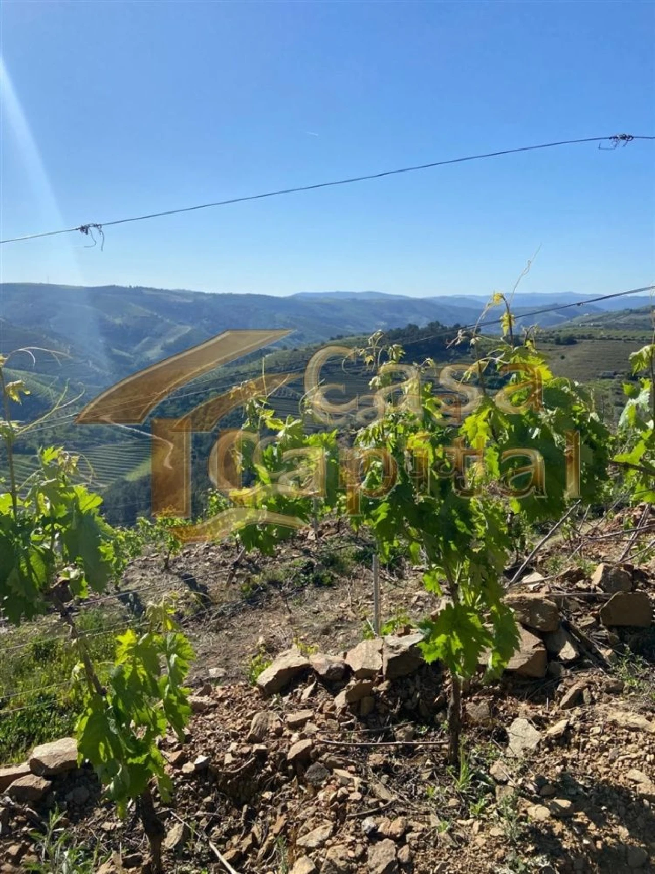 Quinta T0 para Venda em Sabrosa Foto 9