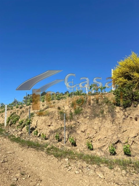 Quinta T0 para Venda em Sabrosa