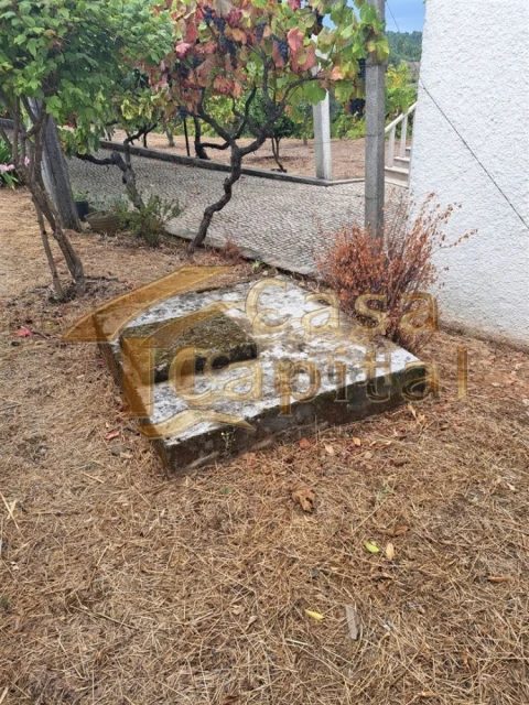 Moradia T3 para Venda em Abaças