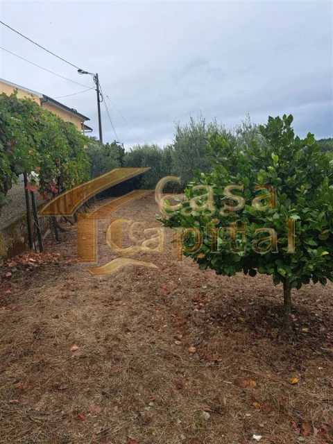 Moradia T3 para Venda em Abaças