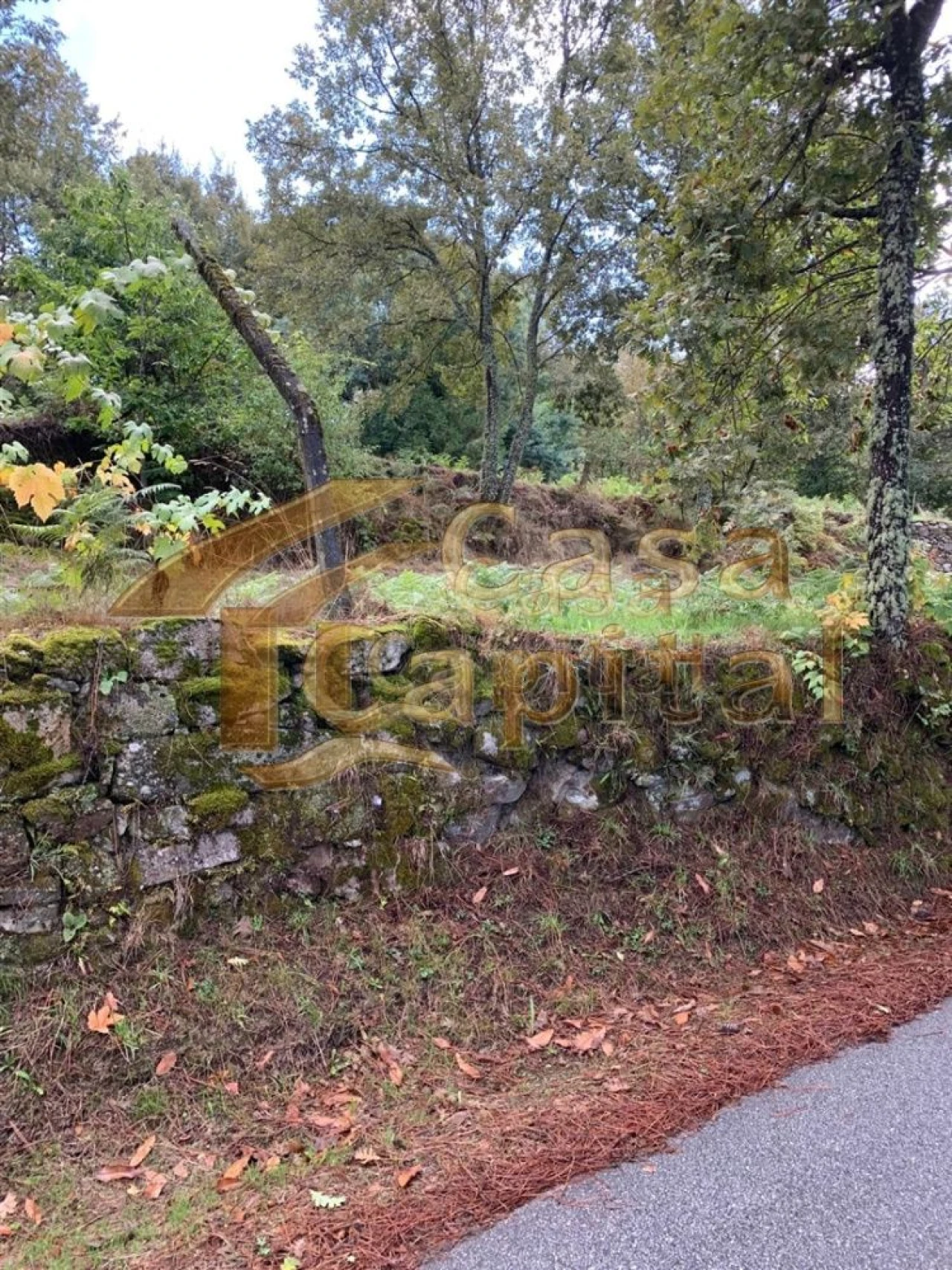 Terreno para Venda em São Tomé do Castelo e Justes Foto 4