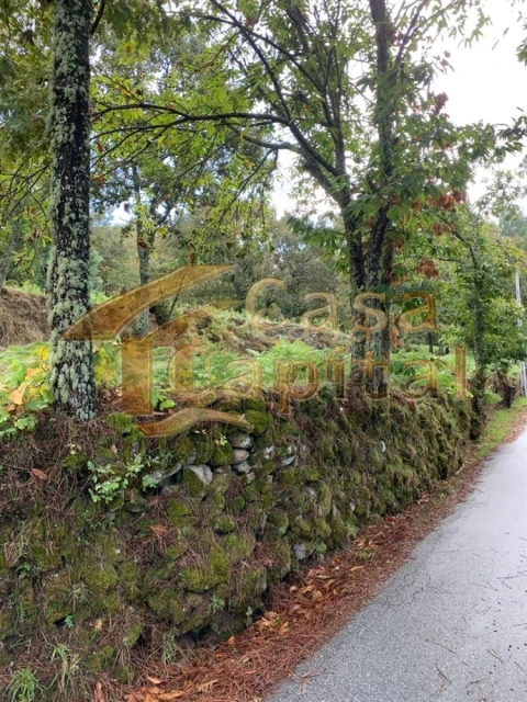Terreno para Venda em São Tomé do Castelo e Justes