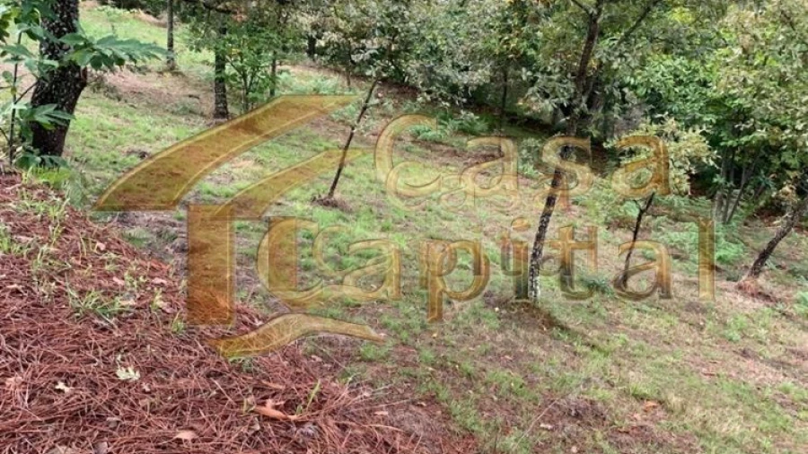 Terreno para Venda em São Tomé do Castelo e Justes