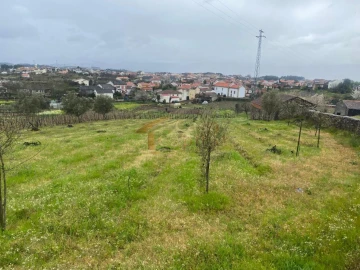 Terreno para Venda em Constantim e Vale de Nogueiras