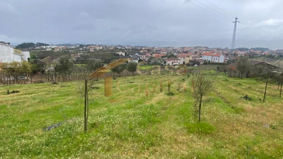 Terreno para Venda em Constantim e Vale de Nogueiras